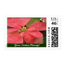 Pink Poinsettias 5 stamps