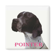 Pink pointer magnet