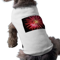 Pink Points pet clothing