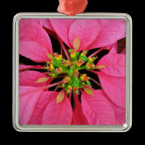 Pink Pointsettia Ornament ornaments