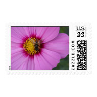 Pink Pollination Postage stamp