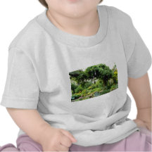 Pink Pond With Hosta, Primula florindae, Lilly, Mi T-shirts