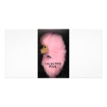 PINK POODLE 1 PHOTO GREETING CARD