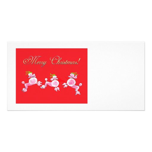 Pink Poodle Retro Merry Christmas Photo Card