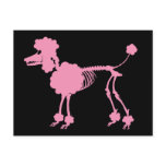 Pink Poodle Skeleton Post Cards