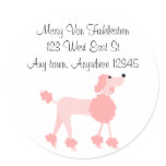Pink Poodle