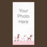 Pink Poodles On Parade Photo Card photo cards