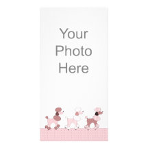 Pink Poodles On Parade Photo Card