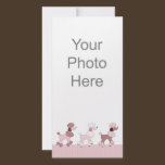 Pink Poodles On Parade Photo Card photo cards