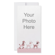 Pink Poodles On Parade Photo Card