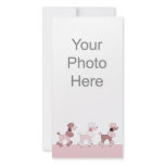 Pink Poodles On Parade Photo Card