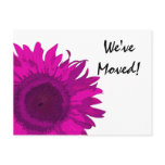 Pink Pop Art Flower Change of Address