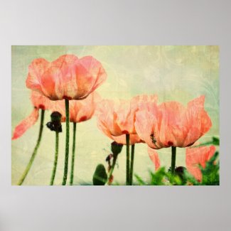 Pink Poppies and Floral Swirls Posters