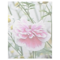 Pink Poppy And Feverfew Letterhead