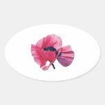 Pink Poppy Closeup Oval Stickers