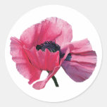 Pink Poppy Closeup Round Stickers