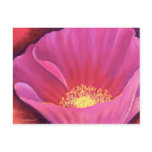 Pink Poppy Flower Painting Art - Multi Post Cards
