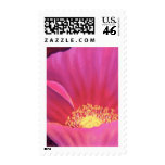 Pink Poppy Flower Painting Art - Multi Stamp