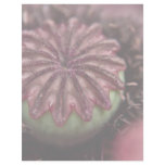 Pink Poppy Customized Letterhead