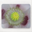 Pink Poppy mousepads by EManglFlowers Pink Poppy mousepads