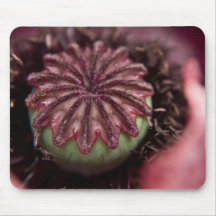 Pink Poppy Mousepads