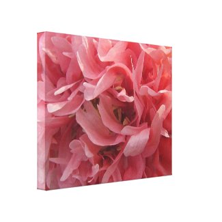 Pink Poppy Petals Gallery Wrapped Canvas