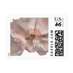 Pink Poppy Small Postage Stamp stamp