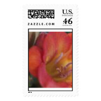 pink postage