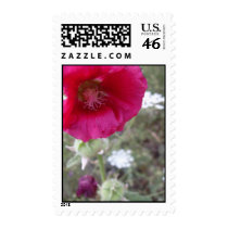 pink postage