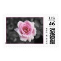 pink postage by Nitalc pink postage