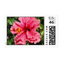 Pink Postage stamps