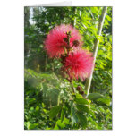 Pink Powder Puff Cards