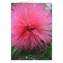 Pink Powderpuff and Bumble Bee cards