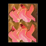 Pink Praise -  Rose Petal Art postcards