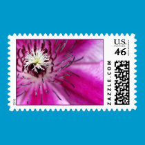 Pink Pride Clematis stamps