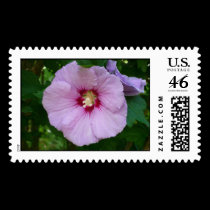 Pink Primrose Postage postage by Rajee1 Pink Primrose Postage postage