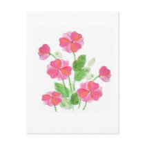 Pink Primrose Postcard