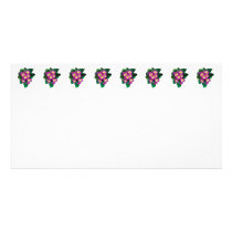 Pink Primroses Seen From Above Photo Cards