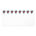Pink Primroses Seen From Above Photo Cards
