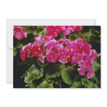 Pink Primula Obconica 'Juno Red' (German Primrose) Personalized Invitations
