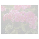 Pink Primula Obconica 'Juno Red' (German Primrose) Personalized Letterhead