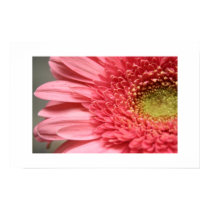 Pink posters