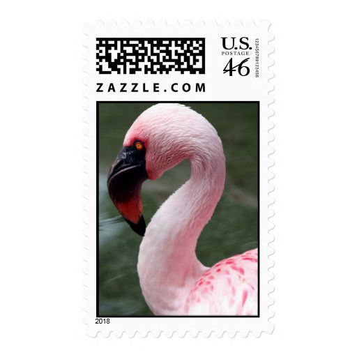 Pink Profile Postage Stamps