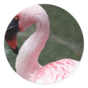 Pink Profile stickers by CyrScenes Pink Profile stickers