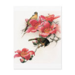 Pink Profusion Postcard