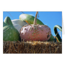 Pink Pumpkin And Friends Greeting Card