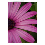 Pink Purple Floral Card