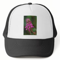 Pink Purple flower, Machu Picchu flowers Hats