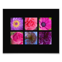 Pink & Purple Flowers