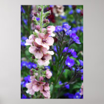 Pink purple flowers posters